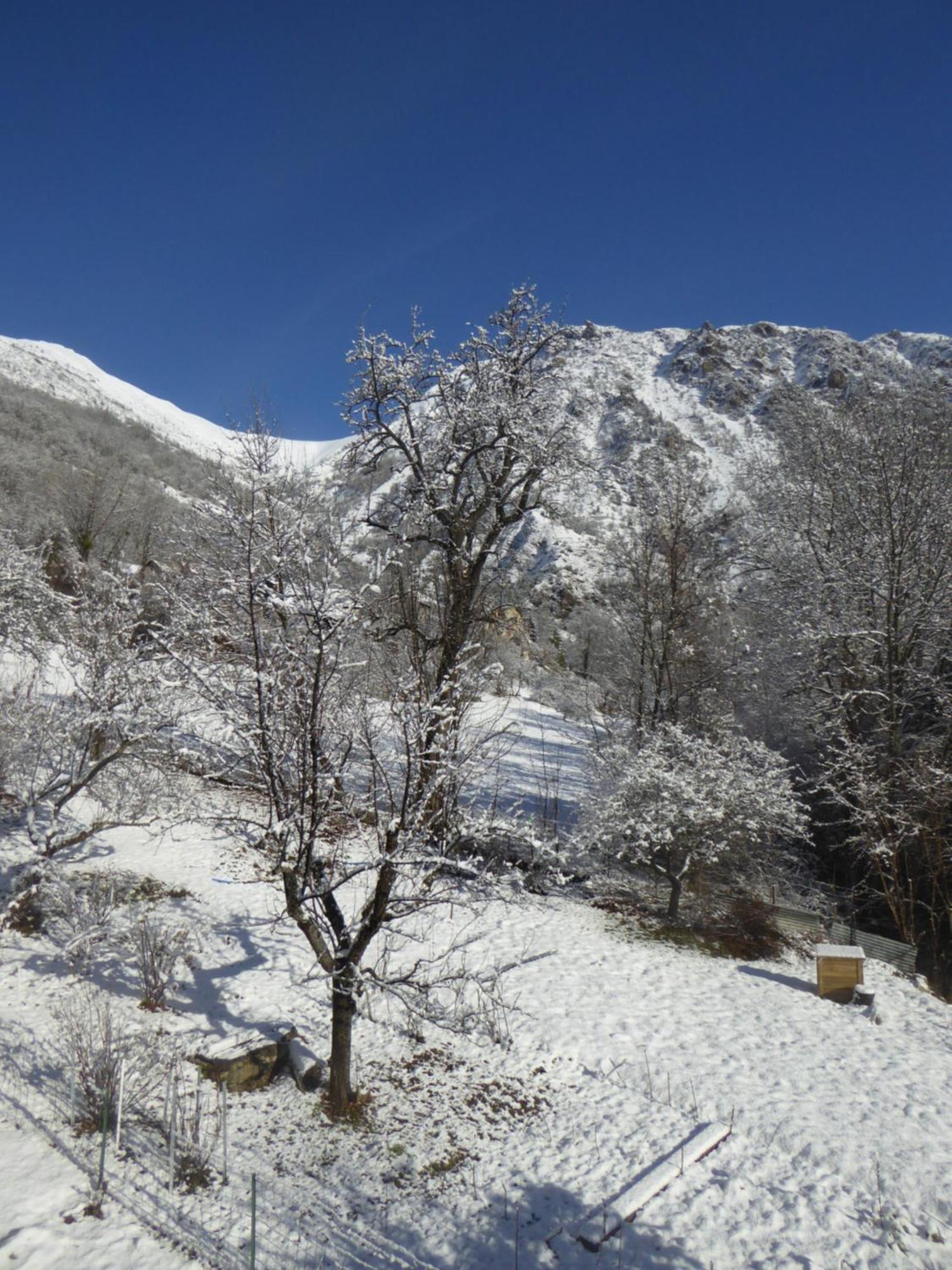 D'hote Calme Au Milieu D'un Jardin Au Freney D'oisans Homestay *